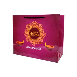 Paper Carry Bag14x12x5_2