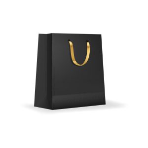 Black Paper Carry Bag