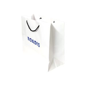 Paper Carry Bag14 x 12 x 5