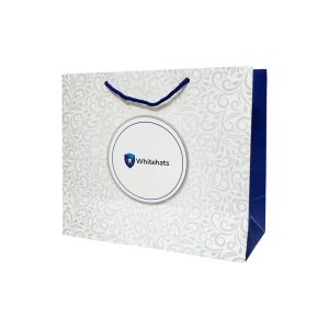 Paper Carry Bag14x12x5